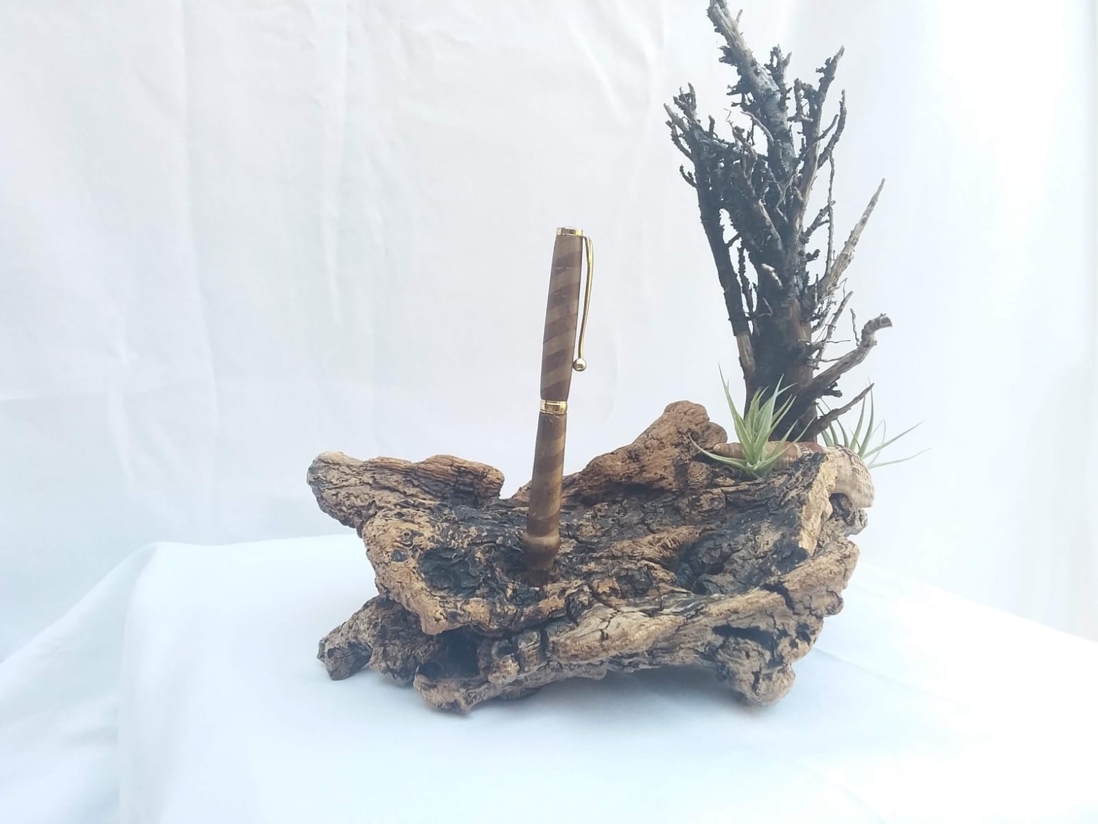Driftwood Desk Garden