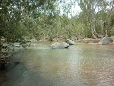Emu Creek near Petford