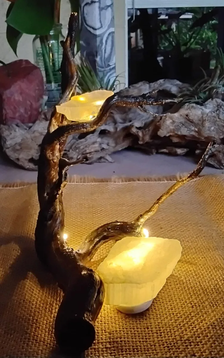 Forest Floor Arrangement